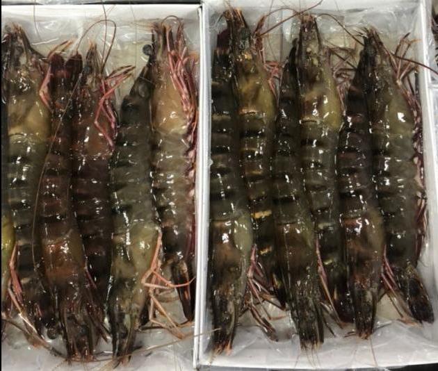 馬來西亞活凍重量級6p大草蝦（6隻/盒)