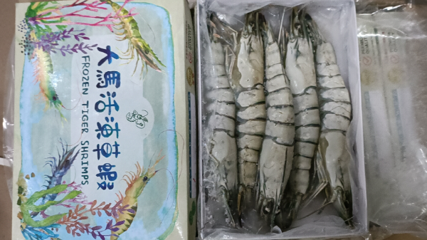 (5P/260g)馬來西亞活凍草蝦