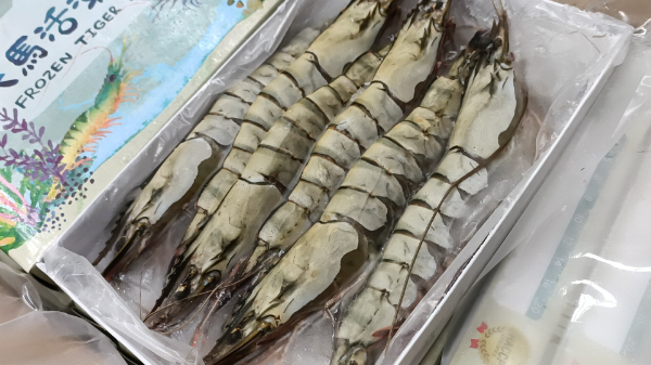(6P/260g)馬來西亞活凍草蝦